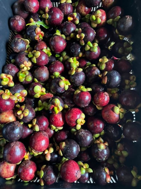 The Bentong Farm Tickets